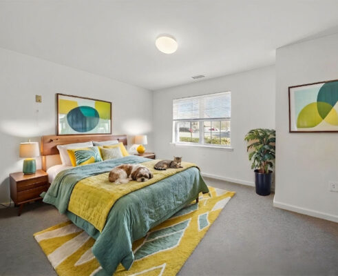 Pet-Friendly Apartments for Lease Rent Devon Management